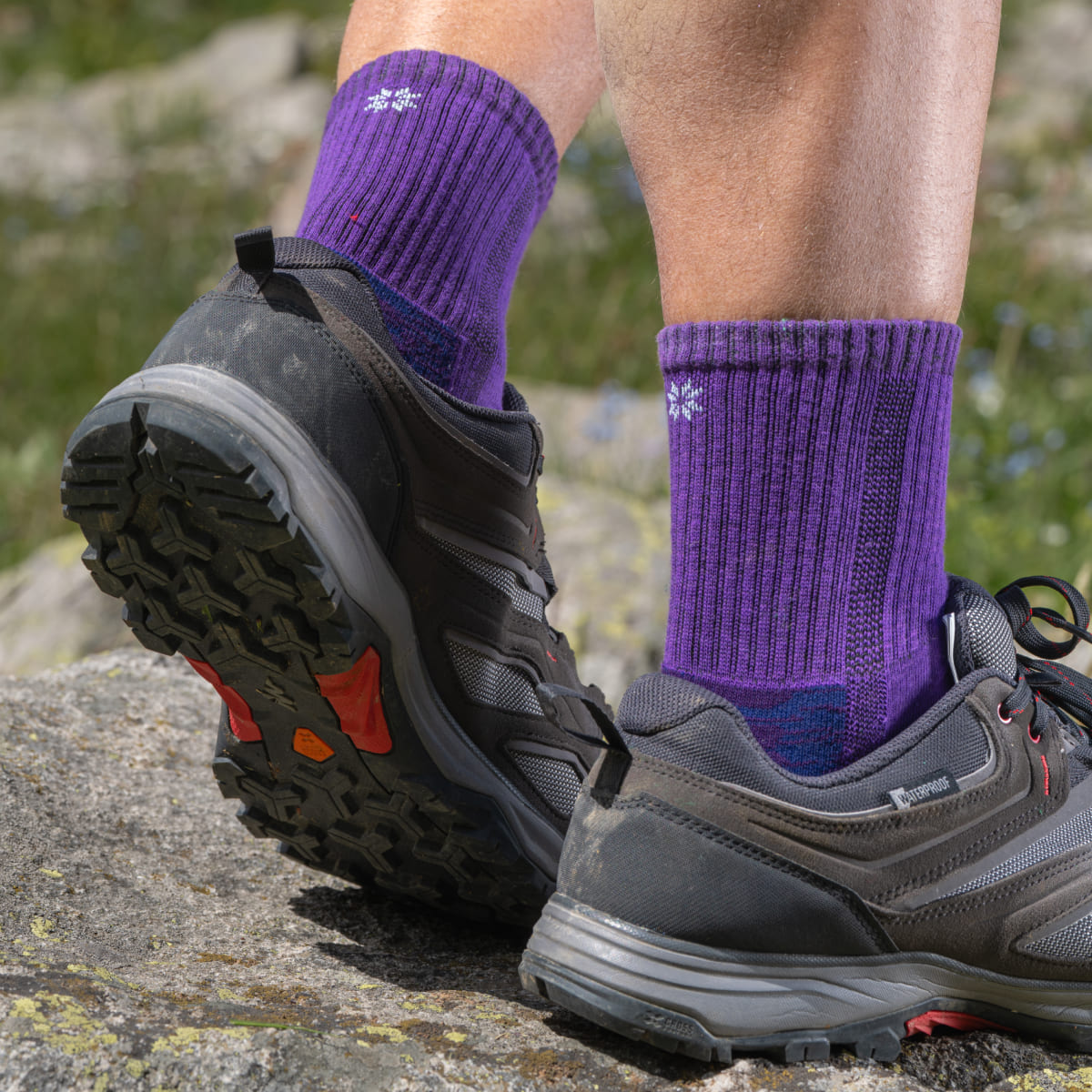 Hiking - Purple (1 pair)